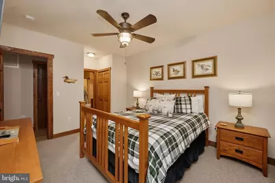 879 Fork Run Trail, Mc Henry, MD 21541 - Photo 48