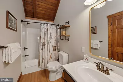 879 Fork Run Trail, Mc Henry, MD 21541 - Photo 78