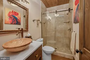 2250 Marsh Hill Rd, Mc Henry, MD 21541 - Photo 82