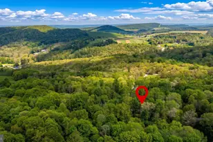 253 Gleanings Dr, Mc Henry, MD 21541 - Photo 68