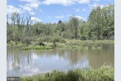 Turkey Neck Road #LOT 12, Swanton, MD 21561 - Photo 20
