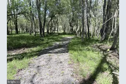 Turkey Neck Road #LOT 12, Swanton, MD 21561 - Photo 28
