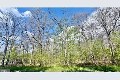 Turkey Neck Road #LOT 12, Swanton, MD 21561 - Photo 2