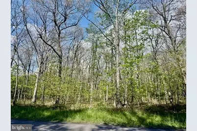 Turkey Neck Road #LOT 12, Swanton, MD 21561 - Photo 14
