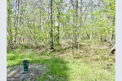 Turkey Neck Road #LOT 12, Swanton, MD 21561 - Photo 12