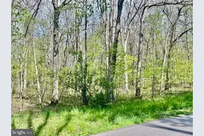 Turkey Neck Road #LOT 12, Swanton, MD 21561 - Photo 4