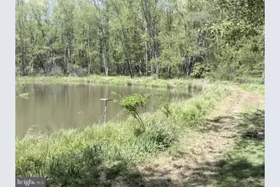 Turkey Neck Road #LOT 12, Swanton, MD 21561 - Photo 24