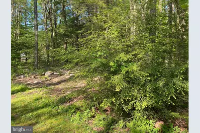 .99 Acre Rock Lodge, Accident, MD 21520 - Photo 2