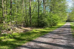 99 Acre Rock Lodge, Accident, MD 21520 - Photo 1