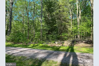 .99 Acre Rock Lodge, Accident, MD 21520 - Photo 4