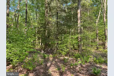 .99 Acre Rock Lodge, Accident, MD 21520 - Photo 6