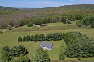 1129 Hemlock Rd, Grantsville, MD 21536 - Photo 62