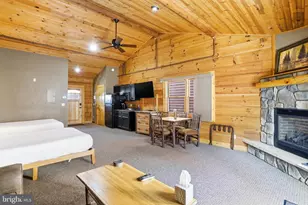 291 Cabin Lodge Road, Mc Henry, MD 21541 - Photo 8