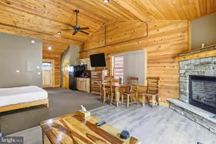 299 Cabin Lodge Road, Mc Henry, MD 21541 - Photo 10