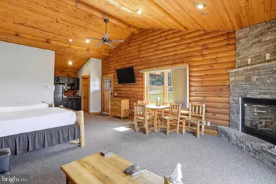 161 Cabin Lodge Road, Mc Henry, MD 21541 - Photo 4