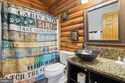161 Cabin Lodge Road, Mc Henry, MD 21541 - Photo 10