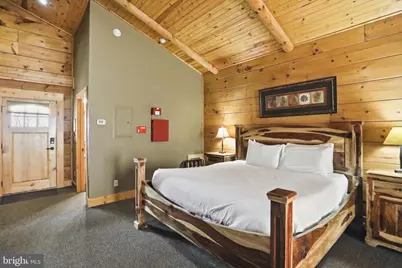 315 Cabin Lodge Road, Mc Henry, MD 21541 - Photo 4