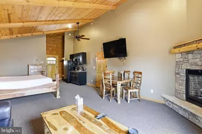 221 Cabin Lodge Road, Mc Henry, MD 21541 - Photo 26