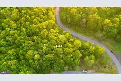 Lot 9 Woodlands Hill Lane, Oakland, MD 21550 - Photo 4