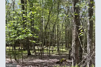 3.15 Acres Woodlands Hill Lane, Oakland, MD 21550 - Photo 2