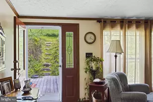 335 Charley Bowser Rd, Accident, MD 21520 - Photo 4