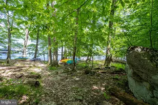 1988 Marsh Hill Rd, Mc Henry, MD 21541 - Photo 96