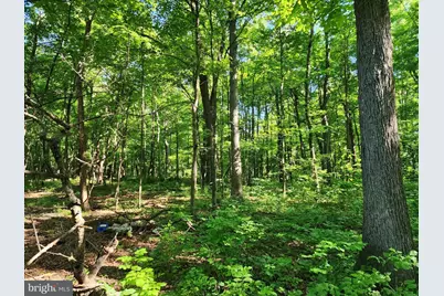 195 Meadow Drive, Swanton, MD 21561 - Photo 18