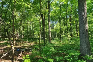 195 Meadow Dr, Swanton, MD 21561 - Photo 18
