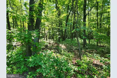 195 Meadow Drive, Swanton, MD 21561 - Photo 16