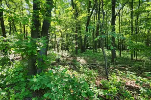 195 Meadow Dr, Swanton, MD 21561 - Photo 16