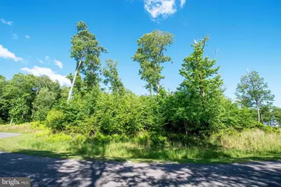 Fox Run Drive, Mc Henry, MD 21541 - Photo 8