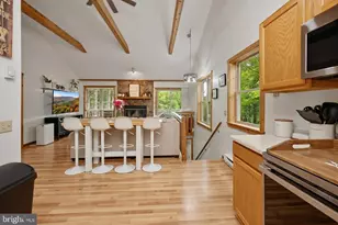 254 Little Mountain Rd, Oakland, MD 21550 - Photo 20