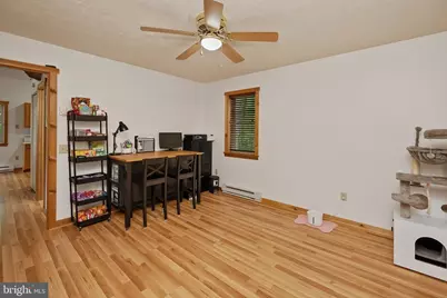 254 Little Mountain Road, Oakland, MD 21550 - Photo 36