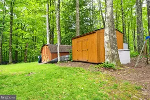 254 Little Mountain Rd, Oakland, MD 21550 - Photo 40