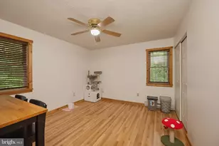 254 Little Mountain Rd, Oakland, MD 21550 - Photo 34