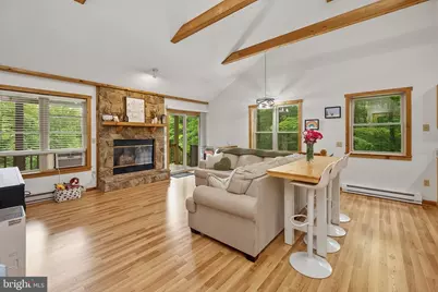 254 Little Mountain Road, Oakland, MD 21550 - Photo 4