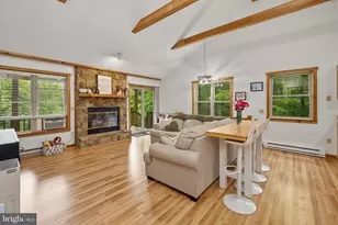 254 Little Mountain Rd, Oakland, MD 21550 - Photo 4