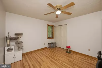 254 Little Mountain Road, Oakland, MD 21550 - Photo 34