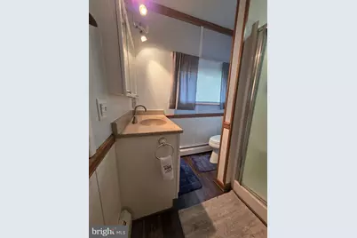 321 Deer Park Hotel Road, Oakland, MD 21550 - Photo 34