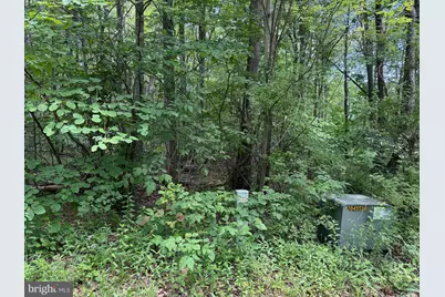 Apex Court, Swanton, MD 21561 - Photo 1