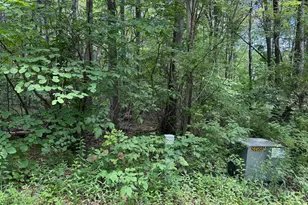 Apex Ct, Swanton, MD 21561 - Photo 1