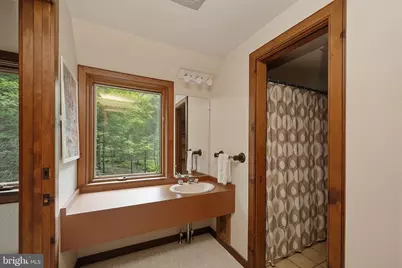1250 Pergin Farm Road, Oakland, MD 21550 - Photo 52