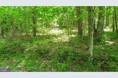 N Glade Road, Swanton, MD 21561 - Photo 14