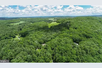 N Glade Road, Swanton, MD 21561 - Photo 10