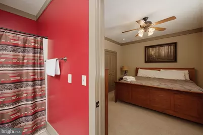 110 Northlake Drive, Mc Henry, MD 21541 - Photo 60