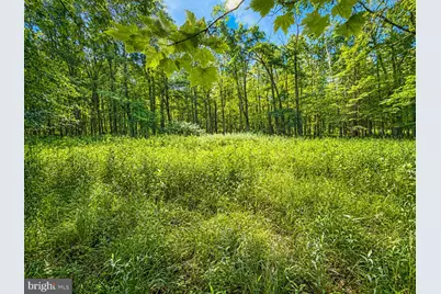 Lot B Loch Deer Road, Oakland, MD 21550 - Photo 8