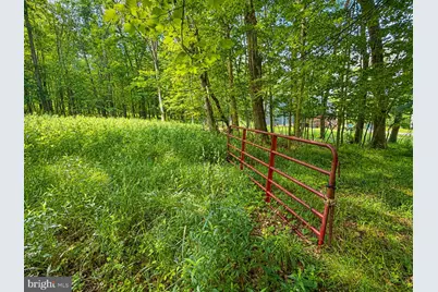 Lot B Loch Deer Road, Oakland, MD 21550 - Photo 6