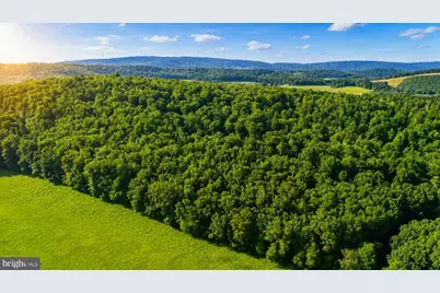 Lot B Loch Deer Road, Oakland, MD 21550 - Photo 18