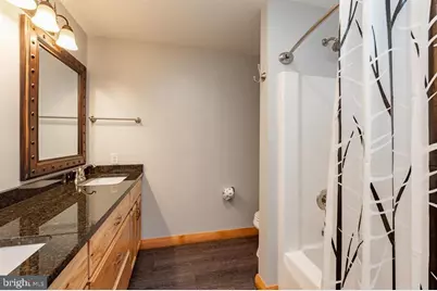 260 Biltmore Ridge Trail, Mc Henry, MD 21541 - Photo 44