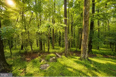 1951 Mosser Road, Mc Henry, MD 21541 - Photo 8
